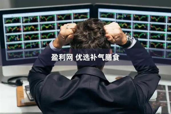 盈利网 优选补气膳食