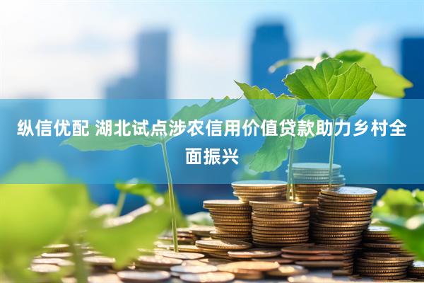 纵信优配 湖北试点涉农信用价值贷款助力乡村全面振兴