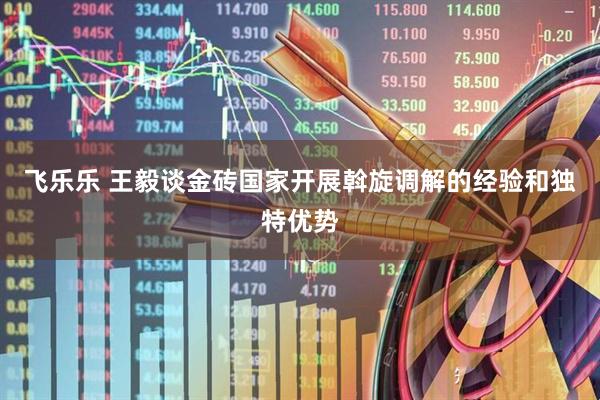 飞乐乐 王毅谈金砖国家开展斡旋调解的经验和独特优势